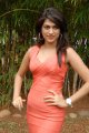 Shraddha Das Hot Photo Shoot Stills