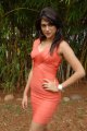 Shraddha Das Hot Photo Shoot Stills