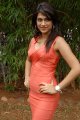 Shraddha Das Hot Photo Shoot Stills