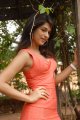 Shraddha Das Hot Photo Shoot Stills