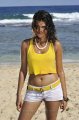 Shraddha Das Hot Pics