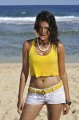 Mogudu Shraddha Das Spicy Gallery