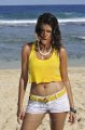 Shraddha Das Hot in Yellow Top White Trouser