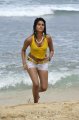 Shraddha Das Hot in Yellow Top White Trouser