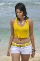 Shraddha Das Hot Pics