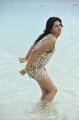 Shraddha Das Hot Bikini Pics