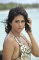 Shraddha Das Hot Bikini Pics