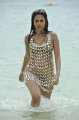 Shraddha Das Bikini Photos in Mogudu