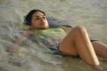 Shraddha Das Hot Pictures in Bikini Top