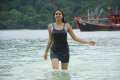 Shraddha Das Hot Wet Stills