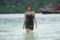 Shraddha Das Hot Wet Stills