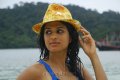 Shraddha Das Hot Wet Stills