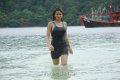 Shraddha Das Hot Wet Stills