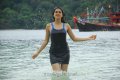 Shraddha Das Hot Wet Stills