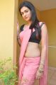 Shraddha Das Hottest Stills in Pink Saree