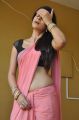 Shraddha Das Hottest Stills in Pink Saree