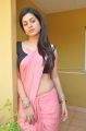 Shraddha Das Hottest Stills in Pink Saree