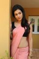 Shraddha Das Hottest Stills in Pink Saree