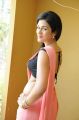 Shraddha Das Hottest Stills in Pink Saree