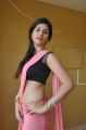 Shraddha Das Spicy Hot Stills in Pink Saree