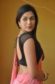 Shraddha Das Hottest Stills in Pink Saree