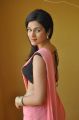 Shraddha Das Hottest Stills in Pink Saree