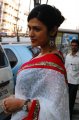 Shraddha Das in Saree Latest Stills