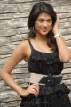 Shraddha Das Latest Hot Photos