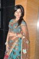 Shraddha Das Transparent Saree Stills