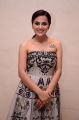 Actress Shraddha Srinath Images @ Jersey Success Meet