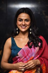 Dhaku Maharaj Heroine Shraddha Srinath Saree Pictures