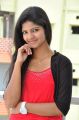 Telugu Actress Shravani Stills in Red Top & Yellow Pant