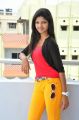 Telugu Actress Shravani Stills in Red Top & Yellow Pant
