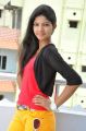 Telugu Actress Shravani Stills in Red Top & Yellow Pant