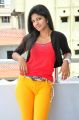 Telugu Actress Shravani Stills in Red Top & Yellow Pant