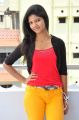 Telugu Actress Shravani Stills in Red Top & Yellow Pant