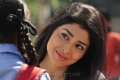 Cute Shriya Saran Pics