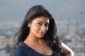 Cute Shriya Saran Pics