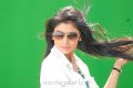 Cute Shriya Saran Pics