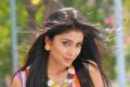 Cute Shriya Saran Pics