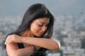 Actress Shriya Cute Pics