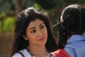 Cute Shriya Saran Pics