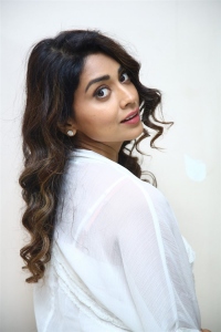 Actress Shriya Saran Stills @ Gamanam Success Meet