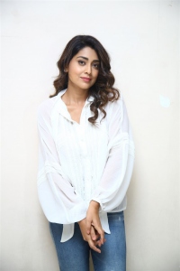 Actress Shriya Saran Latest Stills @ Gamanam Success Meet