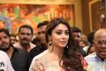 Actress Shriya Saran launches VRK Silks at Himayat Nagar, Hyderabad Photos