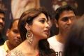 Actress Shriya Saran launches VRK Silks at Himayat Nagar, Hyderabad Photos