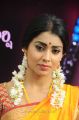 Actress Shriya at Pavithra Movie Opening Stills