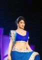 Actress Shriya Ramp Walk Hot Stills in Blue Saree