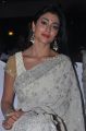 Tamil Actress Shriya in White Saree Hot Photos
