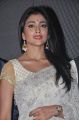 Actress Shriya Saran Hot Photos in White Saree